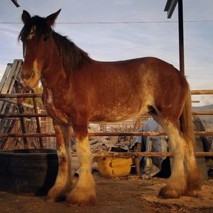 Meet your Posher, Lindsey